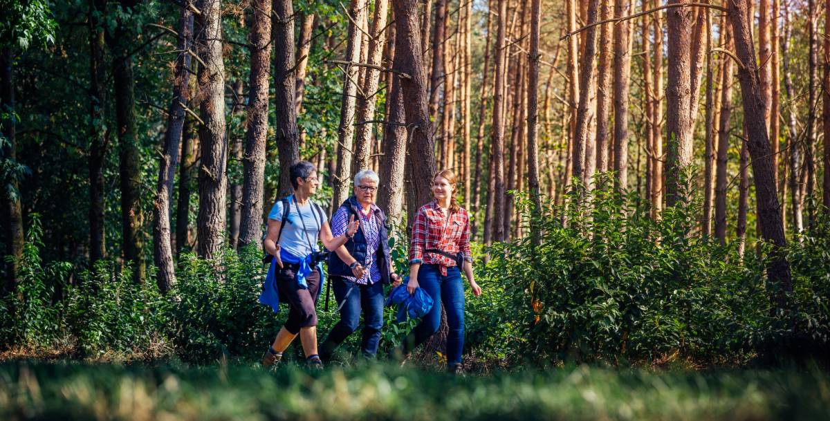 Waldbaden im Heilwald. Foto: (c) Besim Mazhiqi